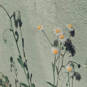 亚洲一区二区三区五区巨乳
